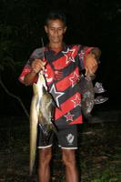 THE CATCH